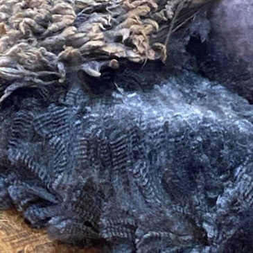 Sheep fleece - Fleece Finder classifieds