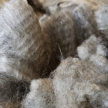 Sheep fleece - Fleece Finder classifieds